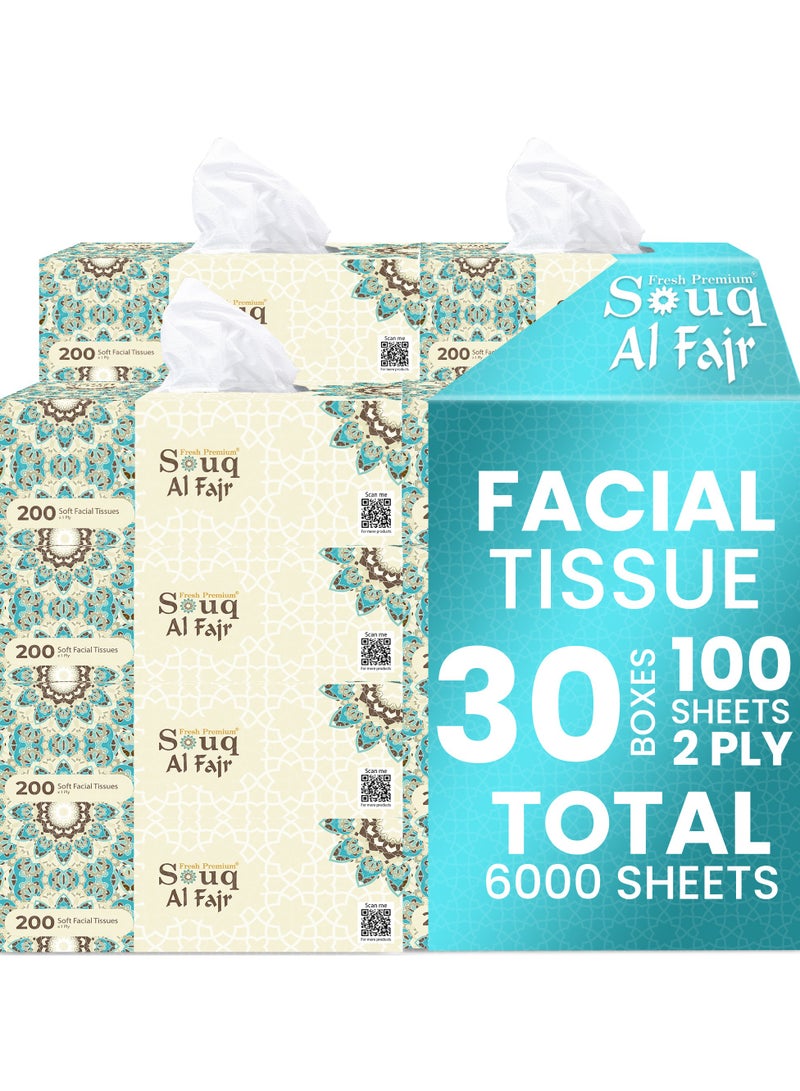 SNH Packing Souq Al Fajr Facial Tissue Box Pack of 30, 100 Sheets x 2 Ply Each, Total 6000 Sheets (200 Sheets Each Box) - Image 1